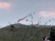 arma3_x64 2017-11-12 22-01-18-70